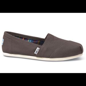 NWT Classic ash canvas Toms